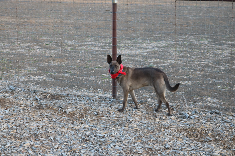He monitors the perimeter.
